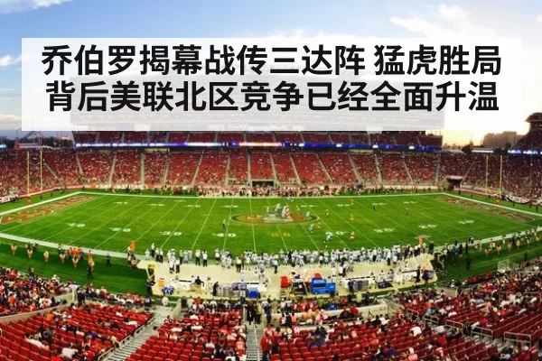 american football stadium night crowd